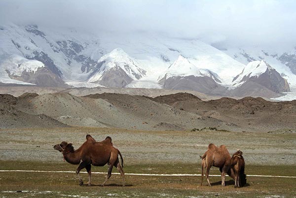 Silk Road Tours International