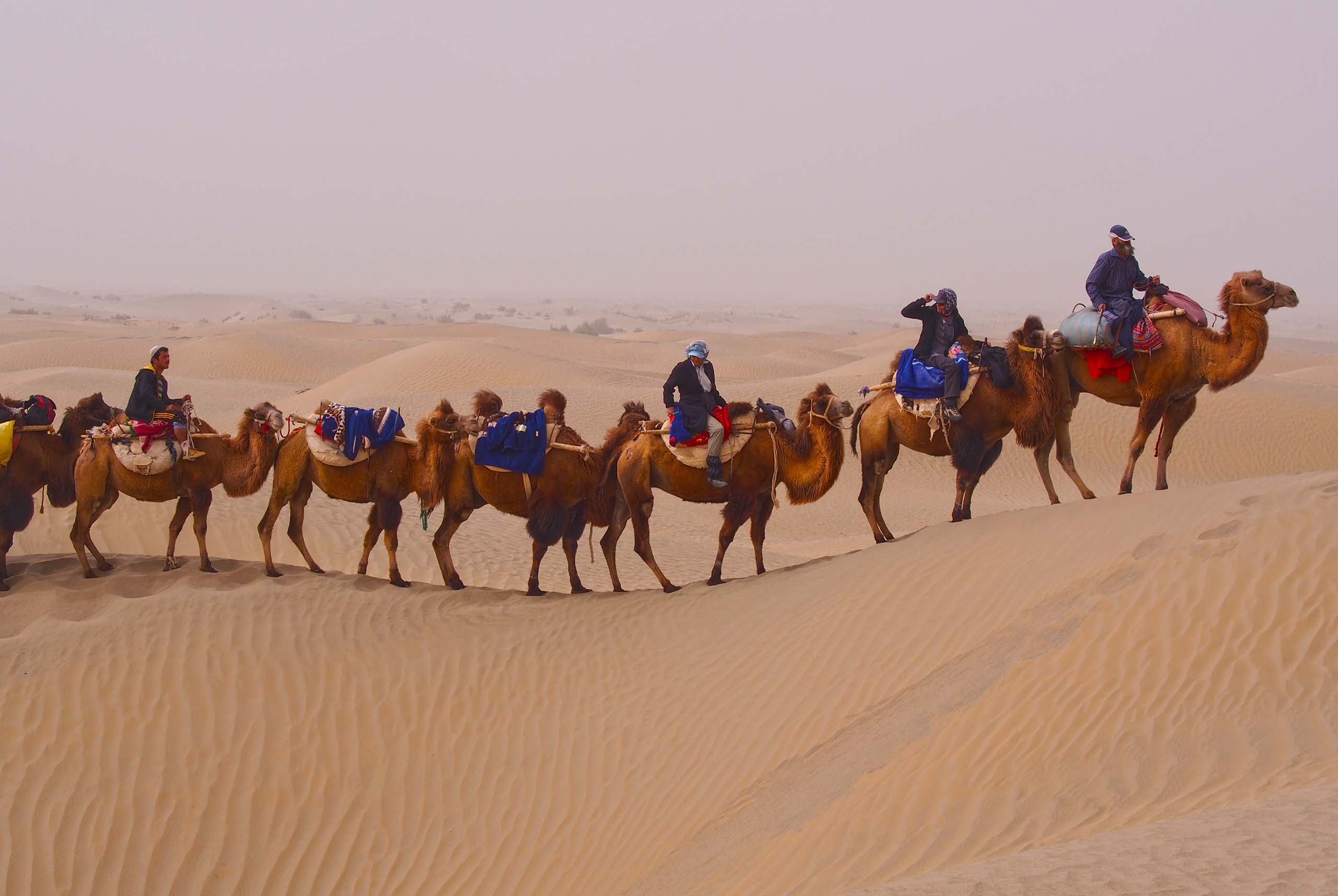 Silk Road Tours International