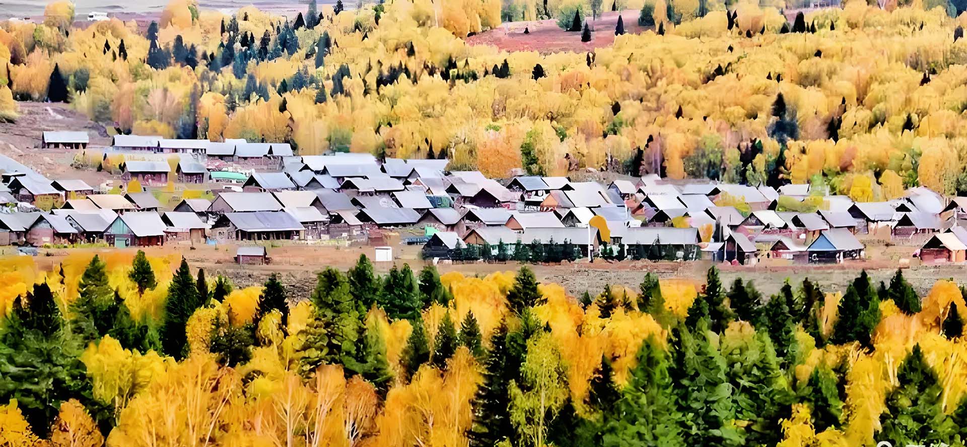 Silk Road Tours International